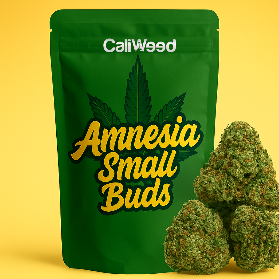 Amnézia Malé púčiky