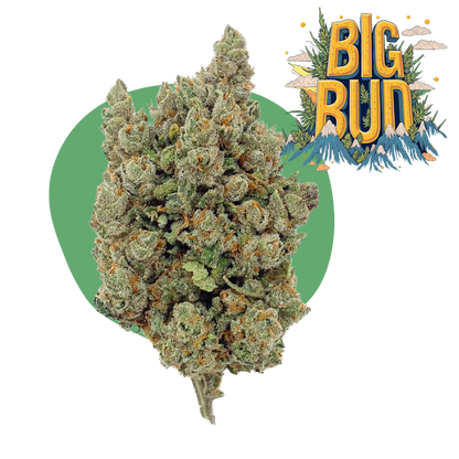 Big Bud CBD