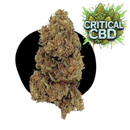 Critical CBD