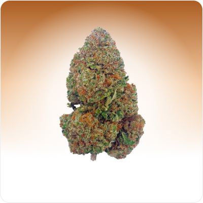 Dievčenské skautské cookies CBD