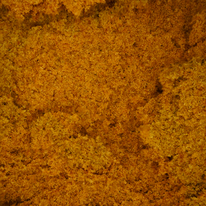 CBN Yellow