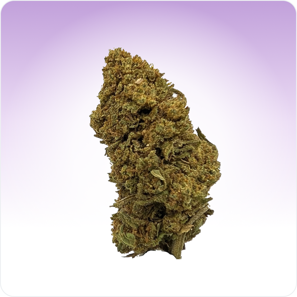 Mimosa CBD