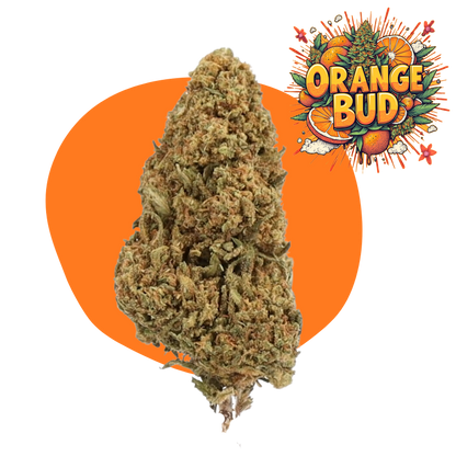 Orange Bud CBD