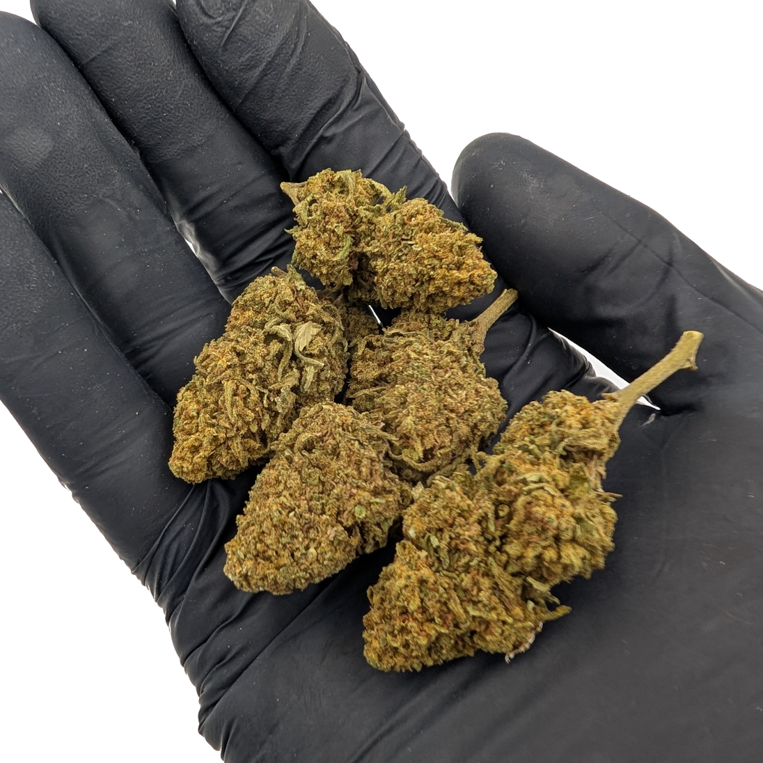 Orange Bud CBD