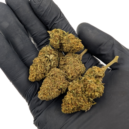 Orange Bud CBD