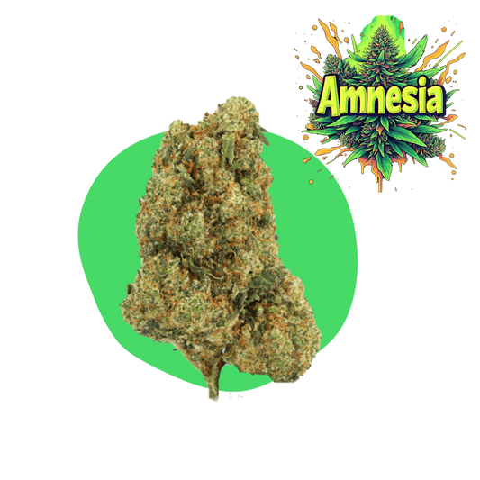 Amnesia CBD