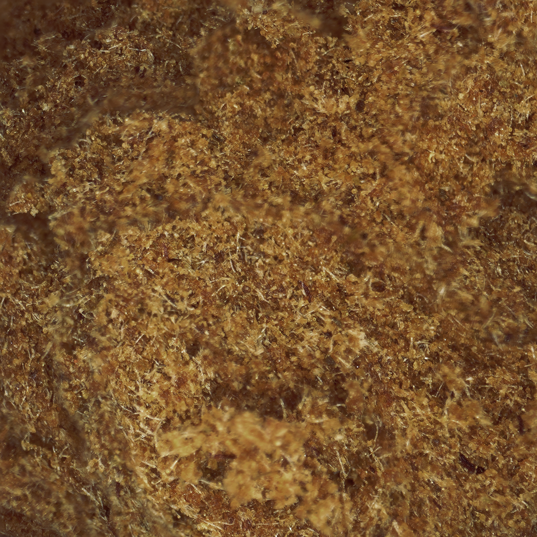 Kráľ Hasan CBD