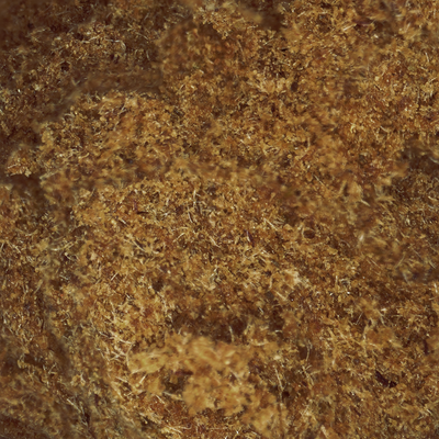 Kráľ Hasan CBD