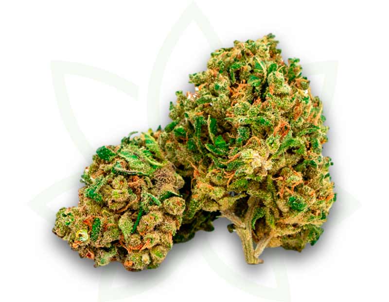 cbd nyc diesel indoor flower 3 5 10 20 50 gramov mafrenchweed 1