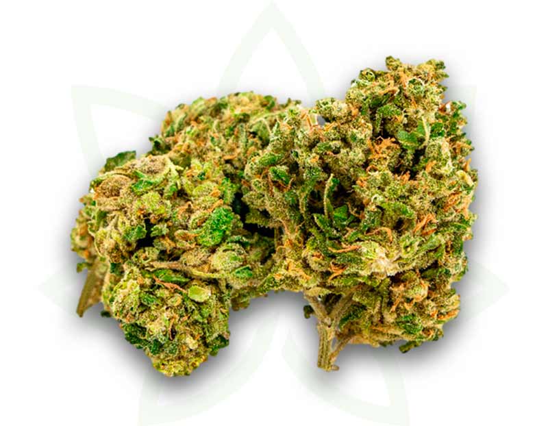 cbd nyc diesel indoor flower 3 5 10 20 50 gramov mafrenchweed 2